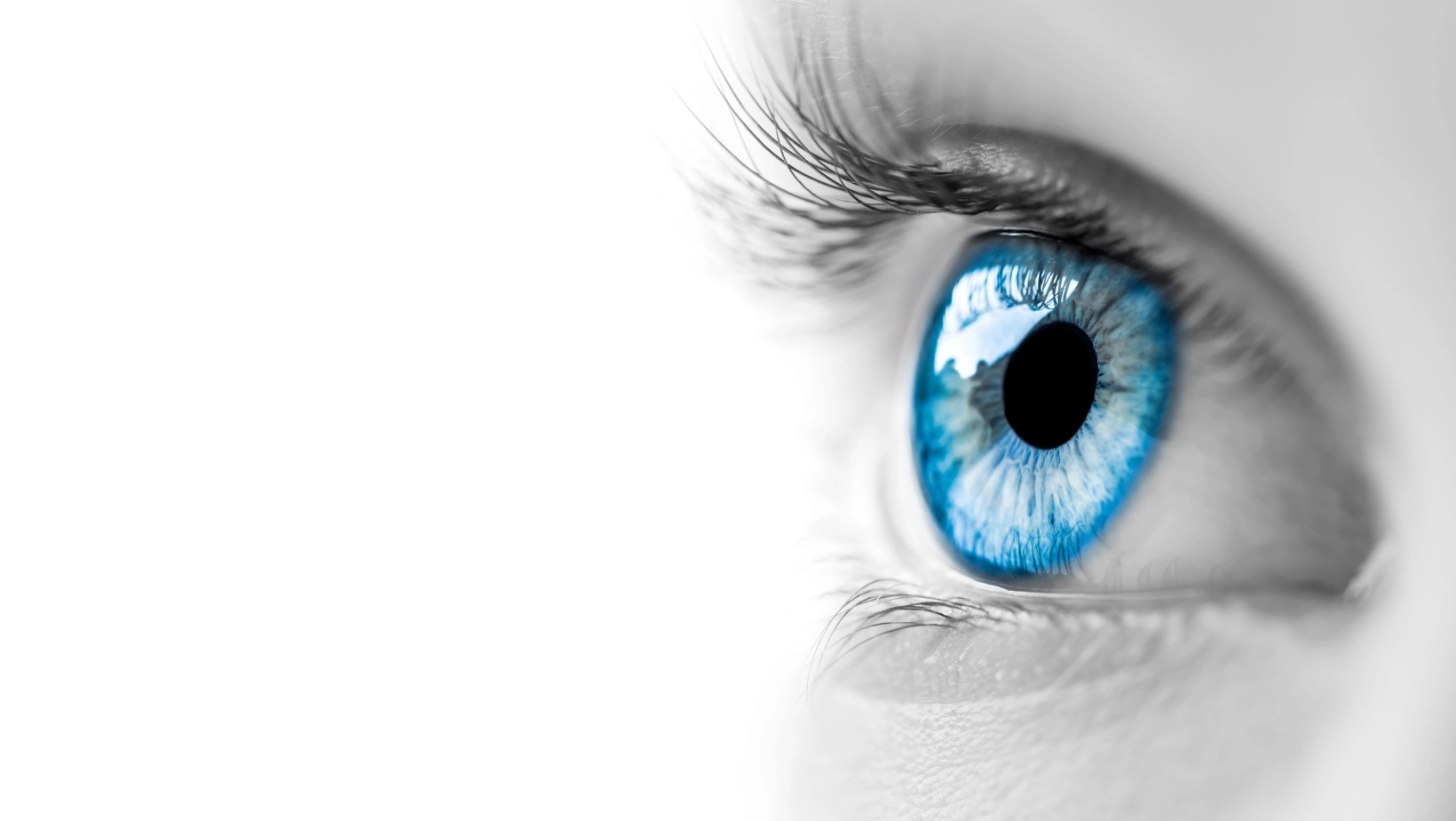 Plataforma OLHOS&nbsp;360